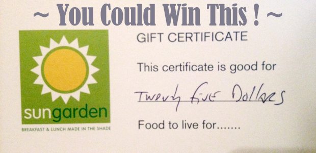 GIVEAWAY!! $25 to Sun Garden Cafe, Siesta Key, FL | #sarasota #giveaway #freefood