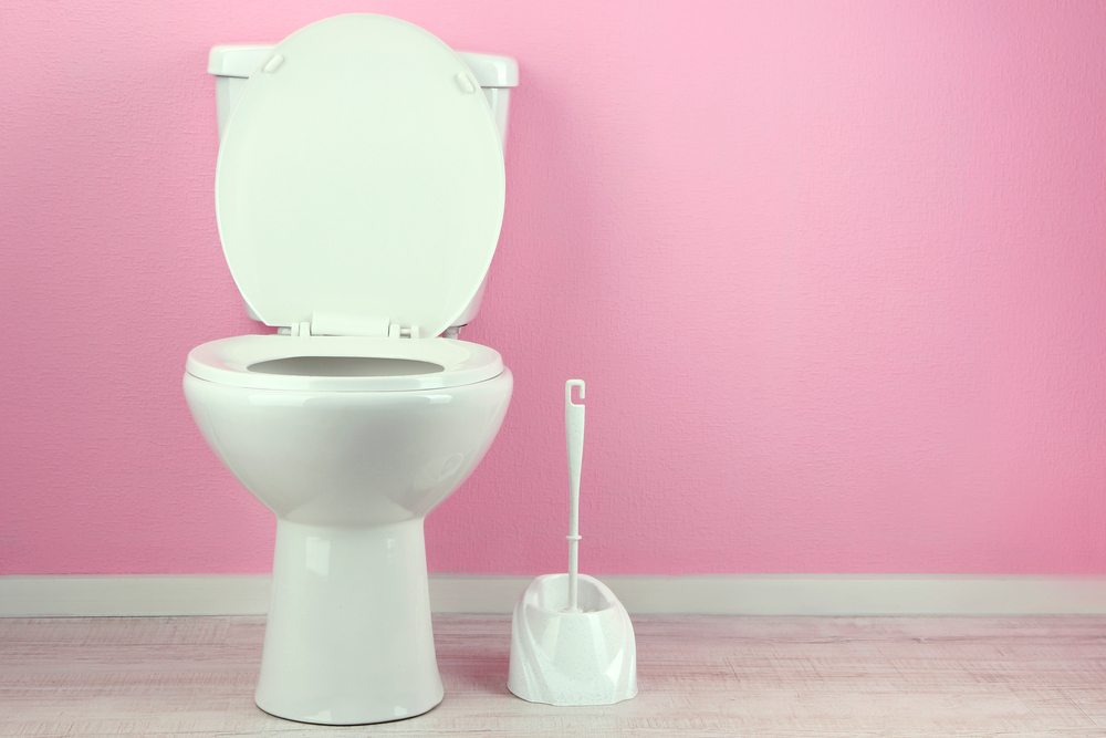 pink-toilet