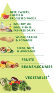 Dr Fuhrman's Nutritarian Food Pyramid