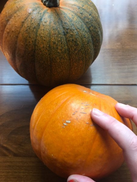 deannas storebought versus au natural pumpkin