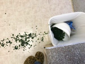 the salad accidentally fell in the trash can